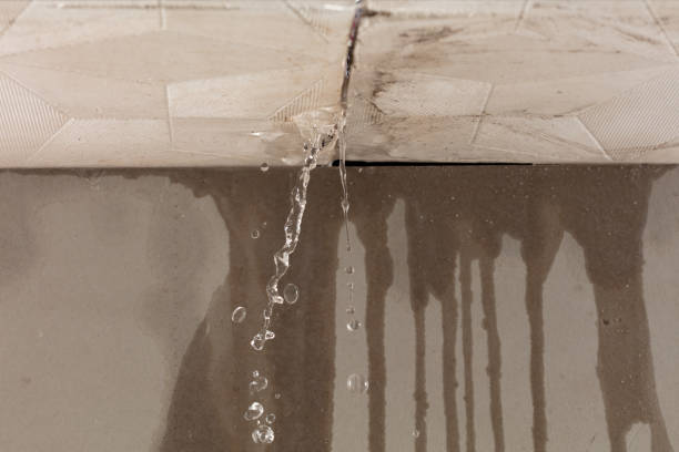 Professional Sewage Cleanup technician working in Bristol, IN
